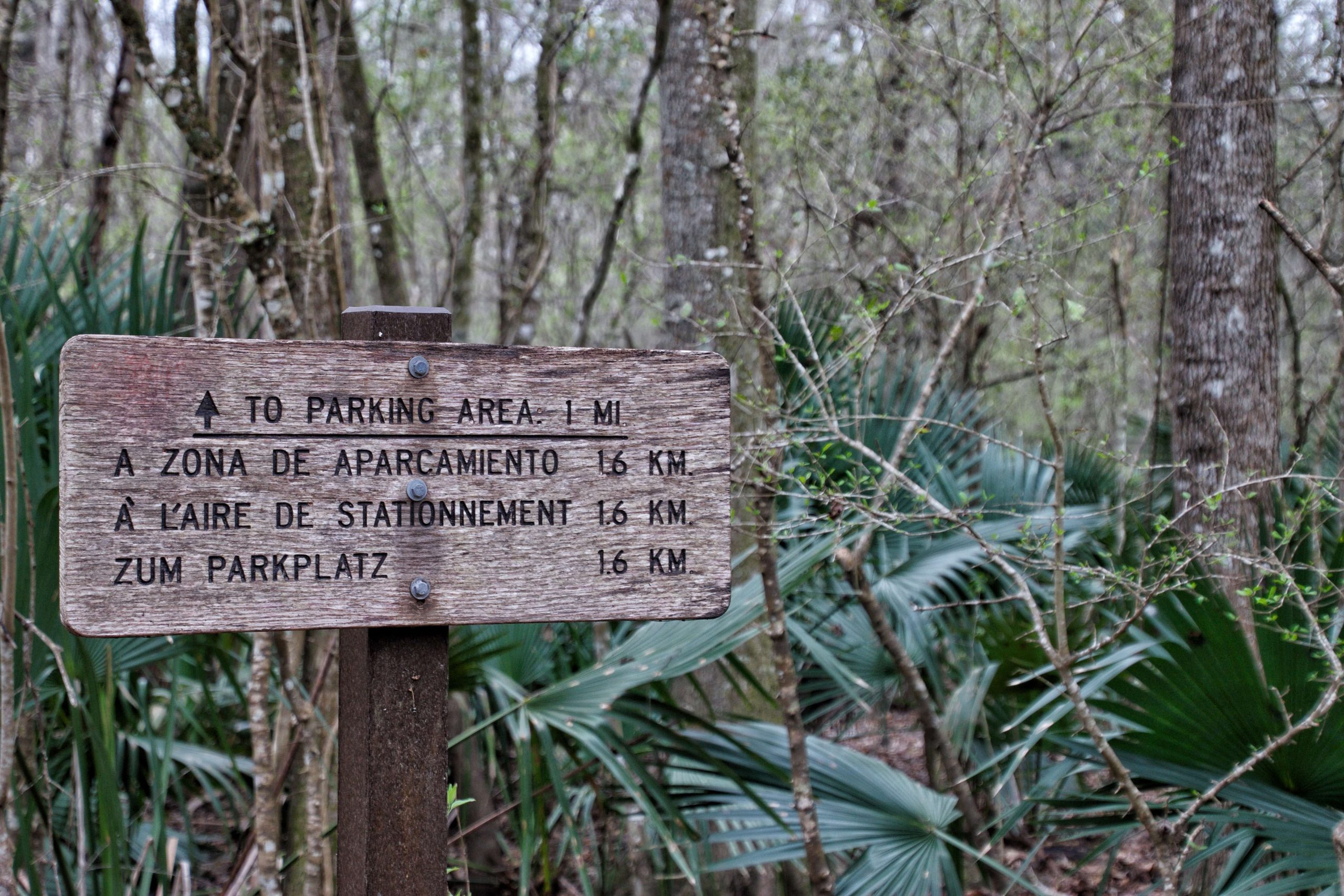 Jean Lafitte Bayou Visitor's Center