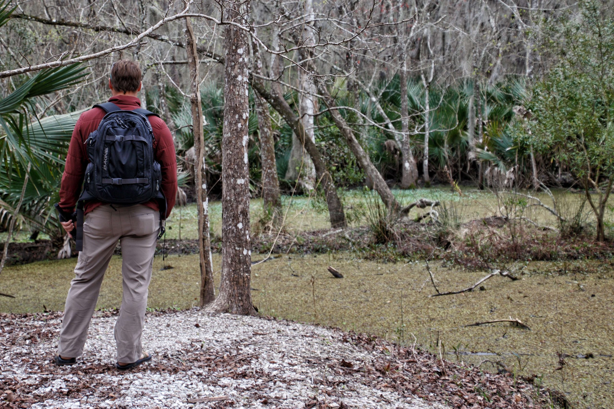 Hiking In The Louisiana Bayou