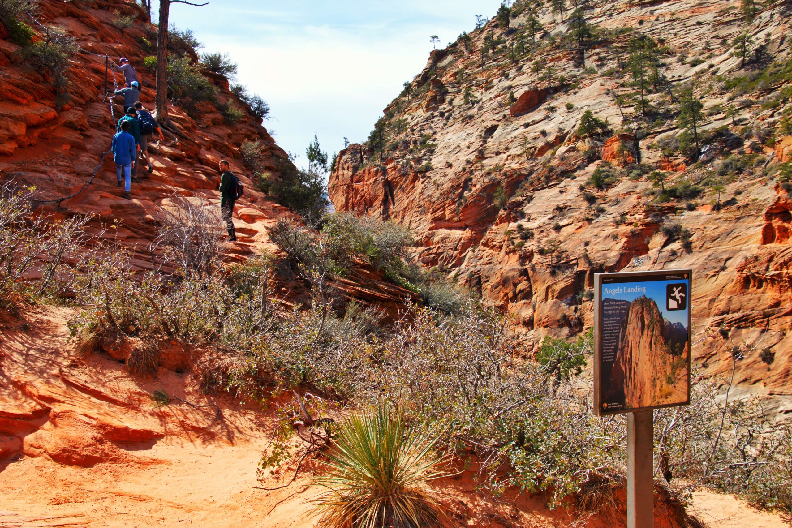 Crowds on the chains at Angels Landing in Zion National Park