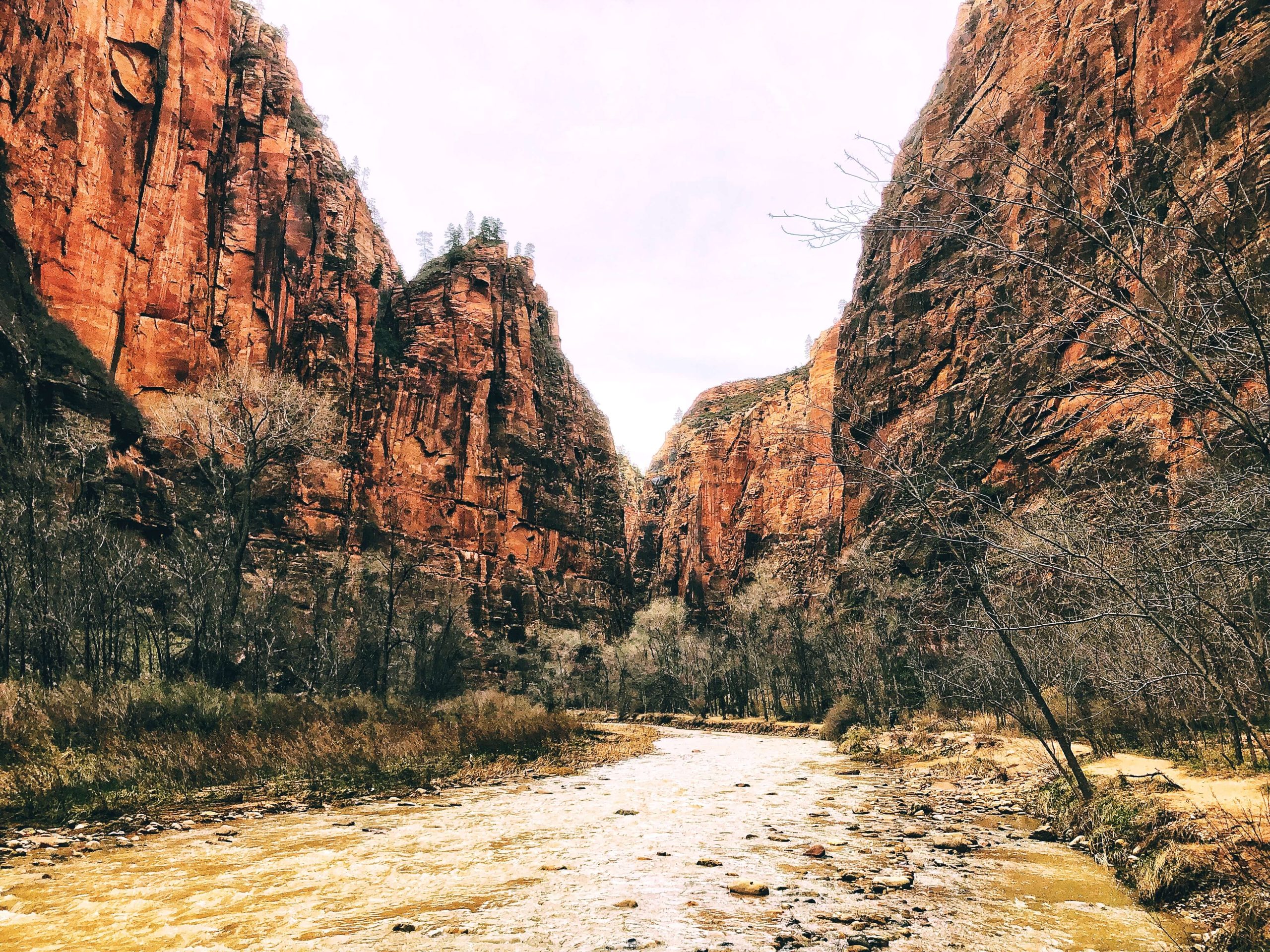The Narrows Zion National Park