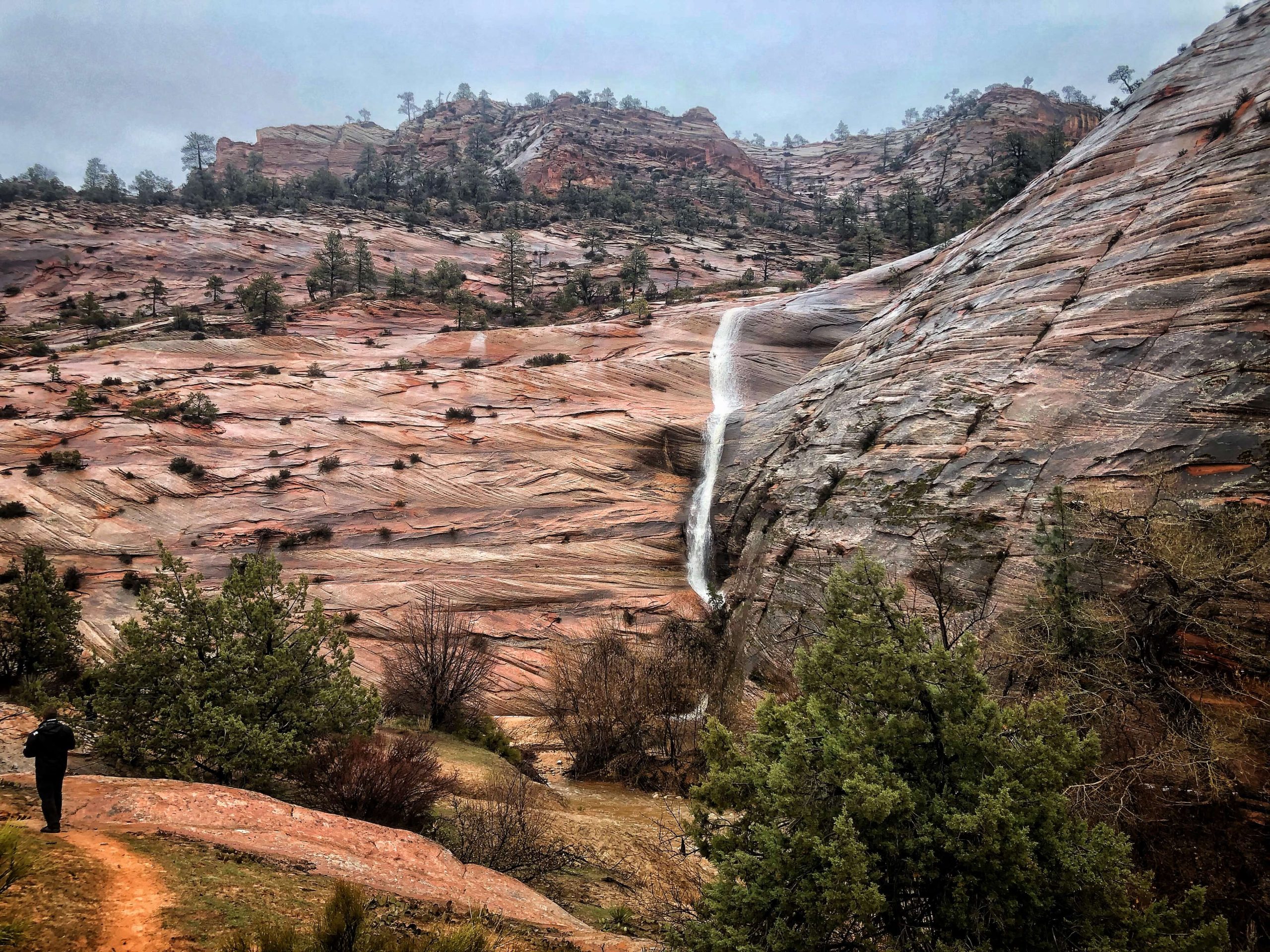 A Waterfall In Zion National Park
