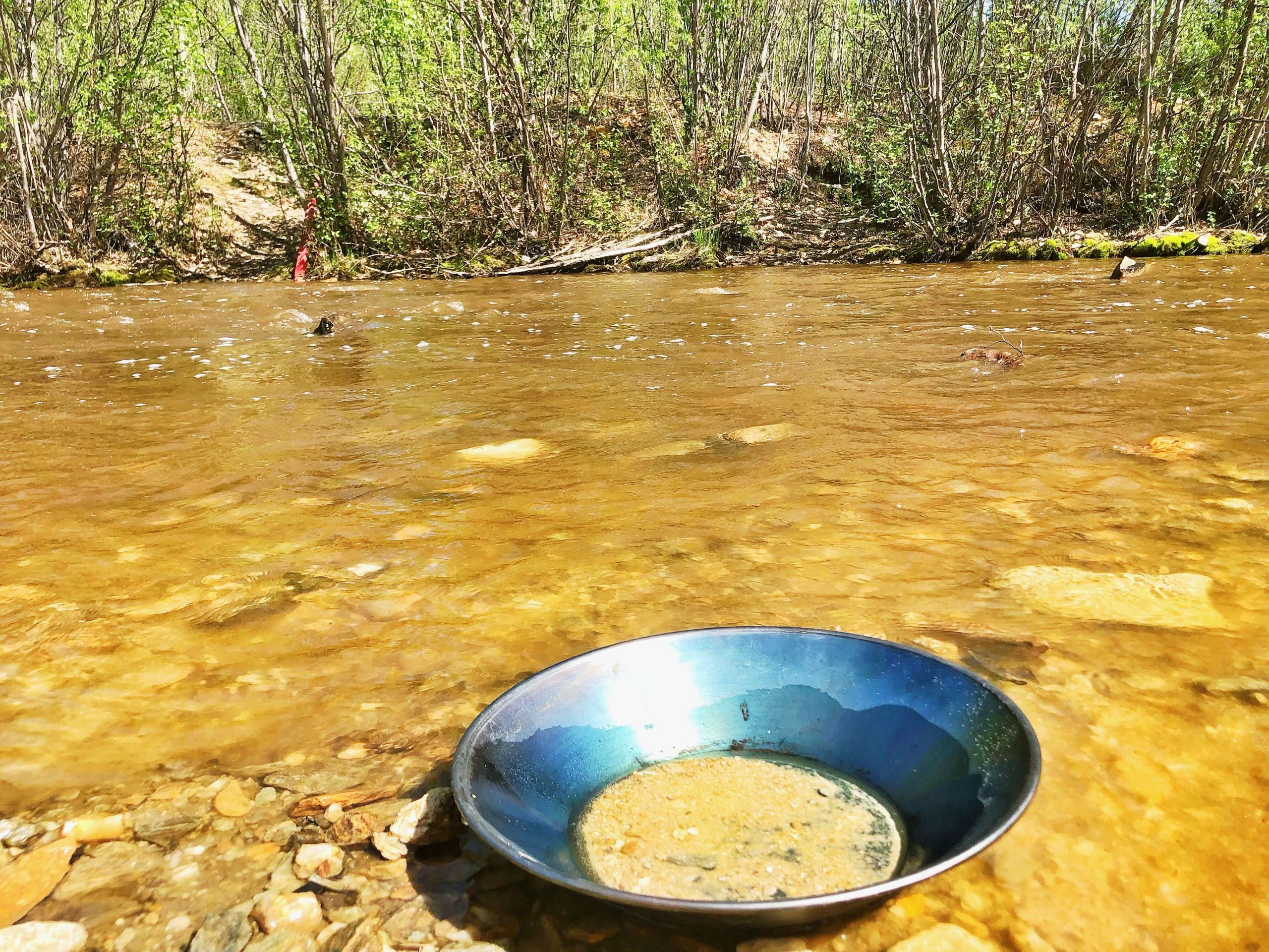 Gold Panning Alaska