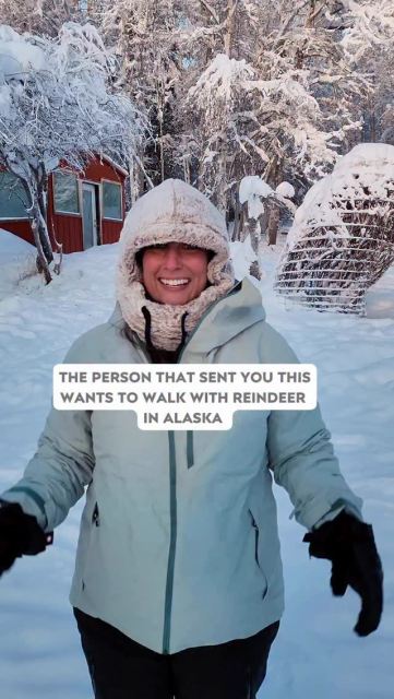 Consider this your sign to add something truly unique to your Alaska itinerary. 
 
Running Reindeer Ranch (@runningreindeer) offers guided reindeer walks just outside Fairbanks, where you’re introduced to the herd, learn how to safely interact with them, and then walk together through the boreal forest as the reindeer roam freely around you. It’s calm, immersive, and focused on experiencing the animals in a respectful, natural way. 
 
Tours are offered year-round: 
 • Winter: snowy forest walks, reindeer time, and a warm finish with hot chocolate 
 • Summer: forest walks plus the option to do reindeer yoga 
 
How to book: 
Tours should be booked directly through Running Reindeer Ranch’s official website, where you can also find the history of the ranch — and yes, the famous homemade cookie recipe they share at the end of the tour. 
 
If you’re visiting Fairbanks and looking for an experience that feels special without being overdone, this one is worth planning for. 
 
#Hosted #FairbanksAlaska #AlaskaTravel #ThingsToDoInAlaska #AlaskaWinter