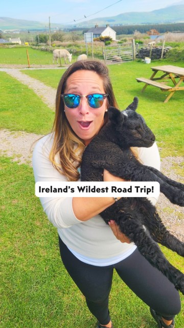 SAVE this for your 2026 Ireland road trip! 🇮🇪🐑✨ 
 
If you’re searching for the world’s wildest bucket list adventures, the Dingle Peninsula is the ultimate roadmap. While everyone flocks to the Ring of Kerry, Dingle offers a deeper, more rugged look at the Wild Atlantic Way. 
 
Spring is the “golden window”—it’s lambing season, the crowds are thin, and the emerald hills are literally bouncing with life. 
 
📍Dingle Peninsula Checklist: 
 
✅ Slea Head Drive: Don’t just drive it; stop at Dunquin Pier (Cé Dhún Chaoin) for the most dramatic cliff views in Ireland. 
 
✅ Hold a Baby Lamb: Pull into the Beehive Huts site—for a few Euros, you can hold a newborn lamb and explore 7th-century stone ruins. 
 
 ✅ Hidden Gem: Skip the main town for a pint at Foxy John’s—it’s half-hardware store, half-pub, and 100% authentic. 
 
 ✅ Conor Pass: Take the high road for a bird’s-eye view of the peninsula (check the weather first; it disappears in the mist!). 
 
💡 Gear Hack: The Irish coast is notoriously windy. A lightweight down jacket is a lifesaver—it compresses to nothing in your luggage but blocks the Atlantic chill while you’re out on the cliffs. 🧥💨 
! 
Drive slow. Stop often. Beware of sheep traffic. 🇮🇪 
 
👇 FOLLOW @venture_wild for more epic road trips, gear hacks, and wild places around the world! 🌍 
 
#IrelandRoadTrip #WildAtlanticWay #BucketListTravel #DinglePeninsula #TravelHacks