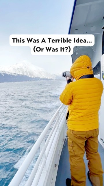 Which Kenai Fjords cruise is actually worth it? 🧊 Save this breakdown for your Seward, Alaska trip. Which one would you pick? 👇 
 
Spring in Alaska hits differently. 🏔️ This was our 4th time heading out from Seward with Major Marine Tours, but our first time experiencing Kenai Fjords during the spring. Seeing these icy waters come to life with returning seabirds birds, migrating gray whales, and sleepy little otters felt like a completely different world. 
 
Every season and every tour offers something unique. If you’re trying to decide which wildlife cruise is right for your Alaska bucket list, here is the breakdown: 
 
✨ Spring Wildlife Cruise (4 hr) → Peak season for gray whales + fewer crowds. → Sightings: Sea otters, harbor seals, and returning seabirds. → The most budget-friendly way to get on the water early in the season. 
 
🐋 Summer Half-Day (4 hr) → Best for families or those prone to seasickness (stays in the calmer waters of Resurrection Bay). → Great if you’re tight on time but still want the “must-see” Alaska wildlife. 
 
🧊 6 Hour Glacier + Wildlife (The Classic) → This is the quintessential Kenai Fjords National Park experience. → Whales, puffins, sea lions, and that iconic calving tidewater glacier. → Includes lunch; the best “all-rounder” for first-timers. 
 
🏔️ 7.5 Hour Multi-Glacier Cruise → More time on the water = higher wildlife encounter chances. → Deep dive into the park to visit two different glaciers. 
 
🚤 8.5 Hour Northwestern Fjord → The ultimate adventure for photographers and remote explorers. → Smallest crowds, untouched landscapes, and 3 massive glaciers. 
 
👀 Orca Quest (Seasonal) → A high-speed, flexible route focused entirely on finding Orcas during peak activity. 
 
We’ve done the longer summer cruises and they are absolutely worth it…but getting to experience this in a different season just reminded us why we keep coming back. 
 
 #hosted #majormarinetours #SewardAlaska #WhaleWatching #AlaskaTravel