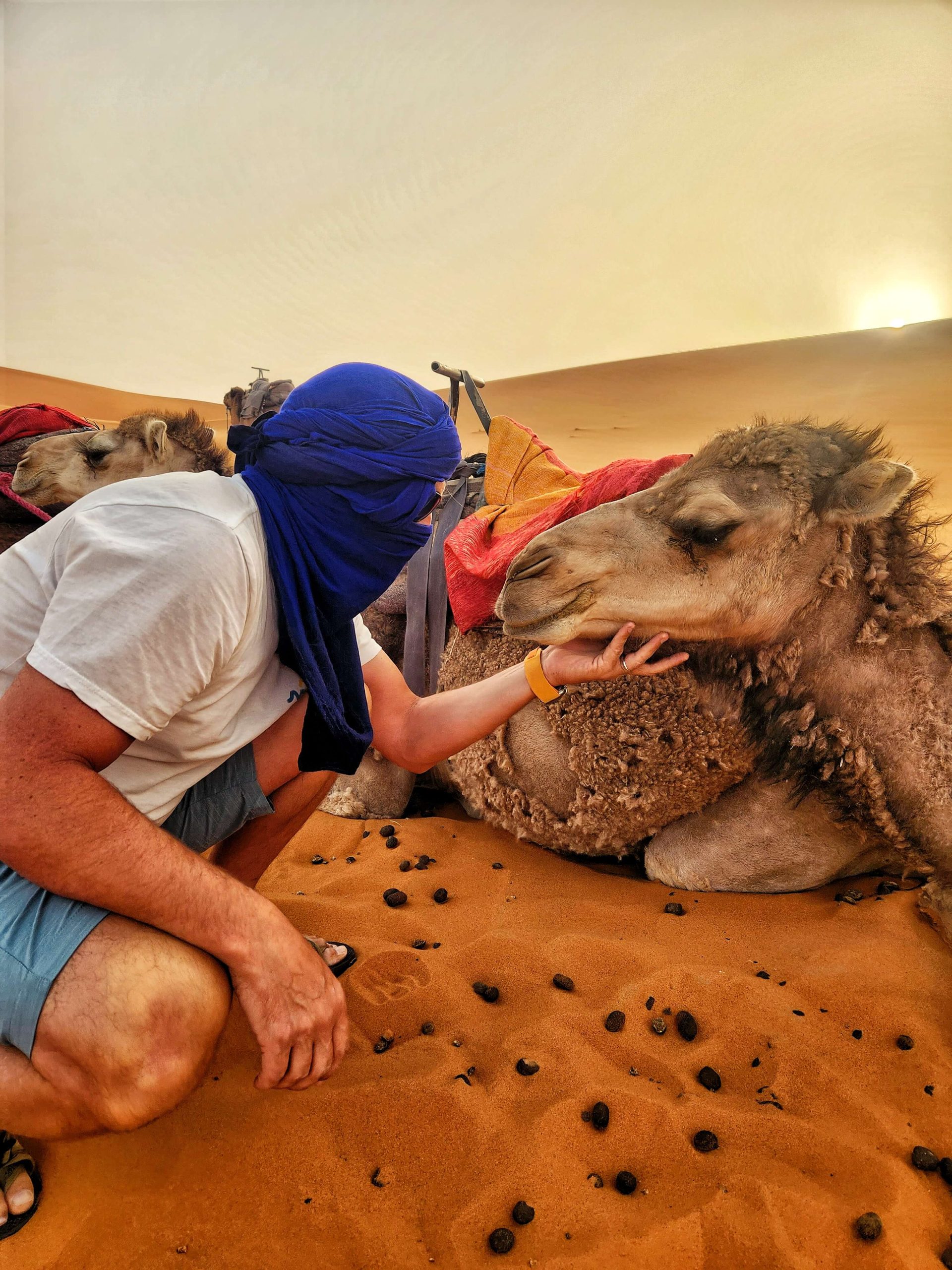 Camel Ride In The Sahara